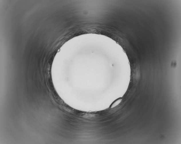 X0000112840332200910021113