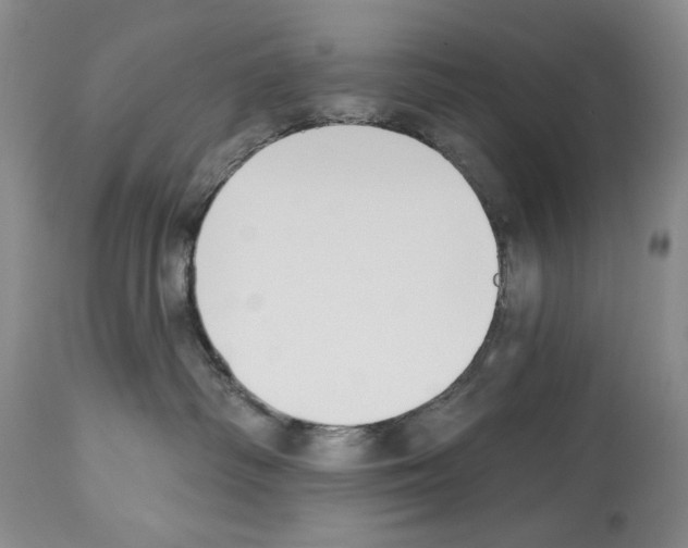 X0000112840334200910021113