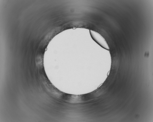 X0000112840335200910021113