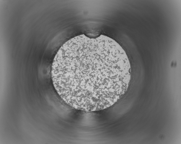 X0000112840336200910021113