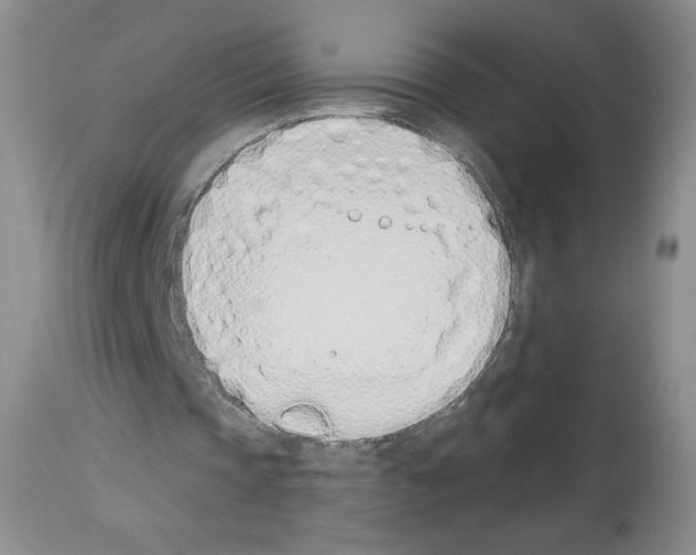 X0000112840337200910021113