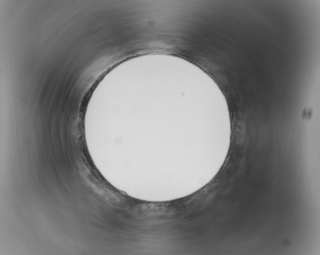 X0000112840338200910021113