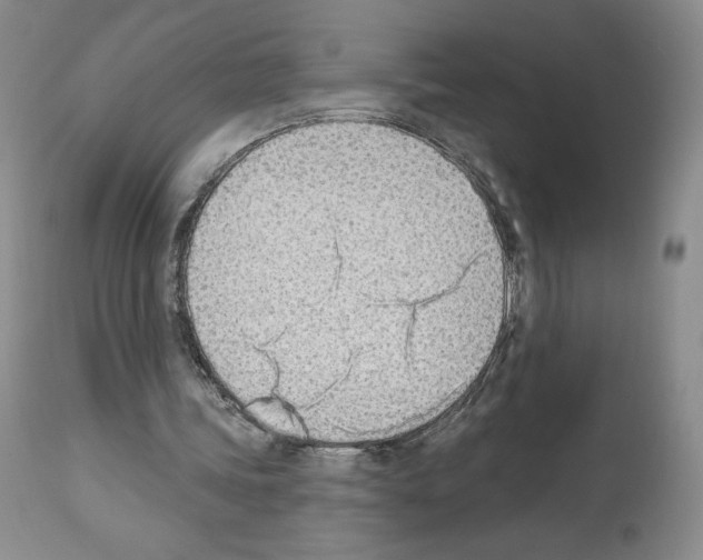 X0000112840339200910021113