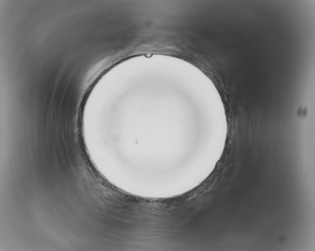 X0000112840340200910021113