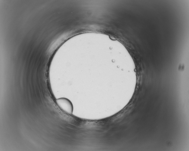 X0000112840341200910021113