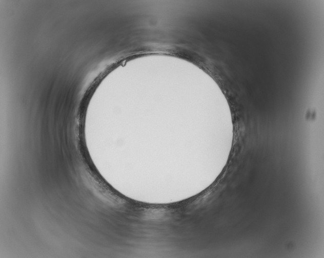 X0000112840342200910021113