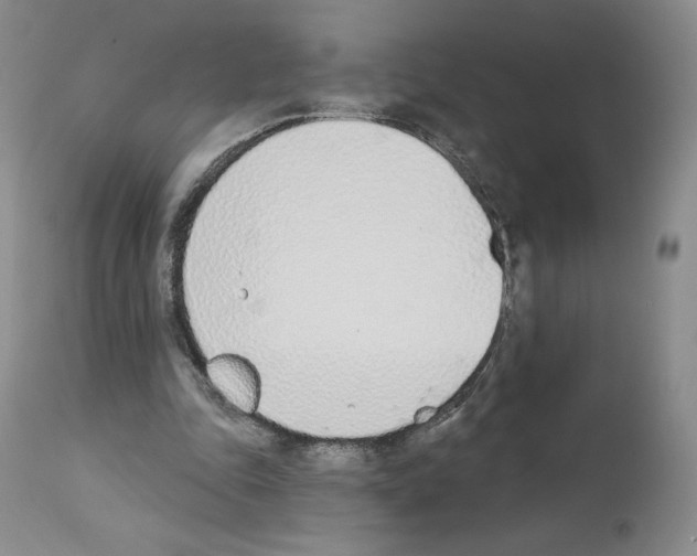 X0000112840343200910021113