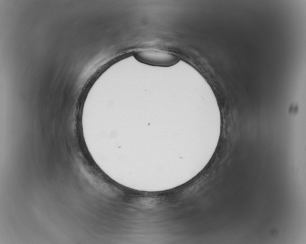 X0000112840344200910021113