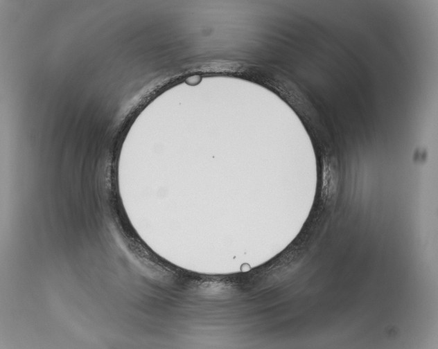 X0000112840348200910021113