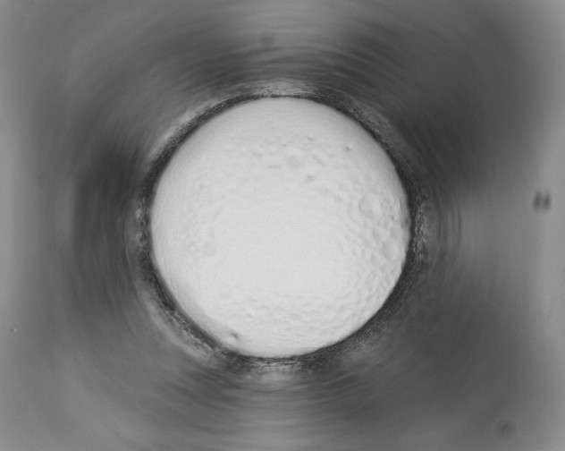 X0000112840351200910021113