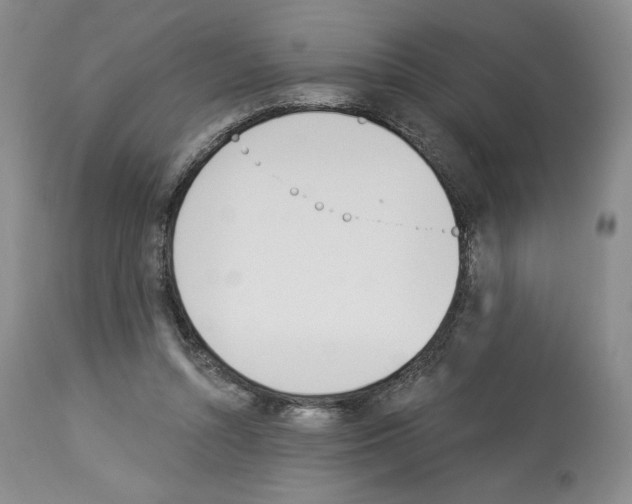 X0000112840352200910021113