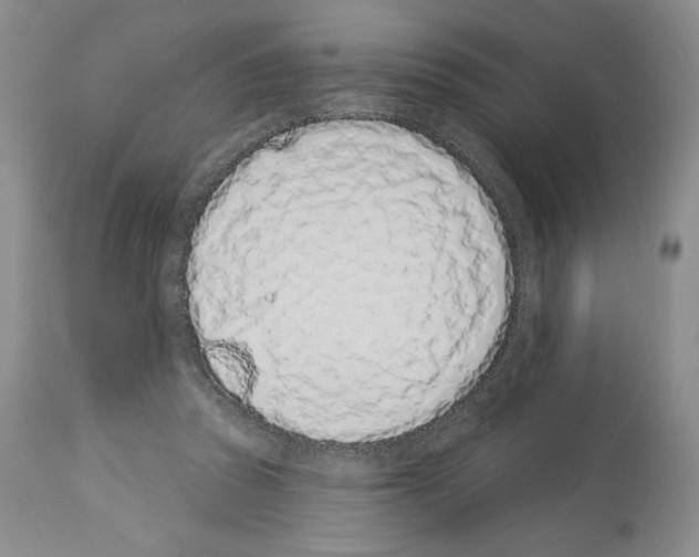 X0000112840353200910021113