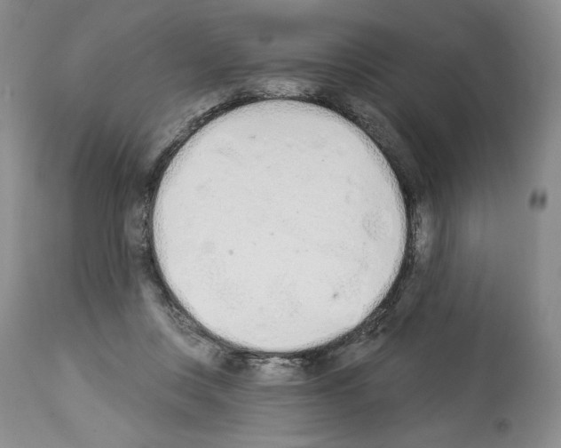 X0000112840359200910021113