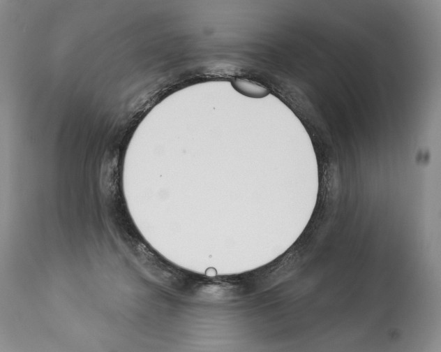 X0000112840364200910021113