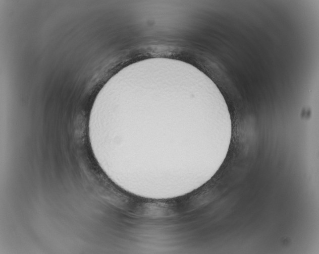 X0000112840367200910021113