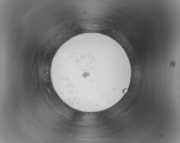 X0000112840369200910021113