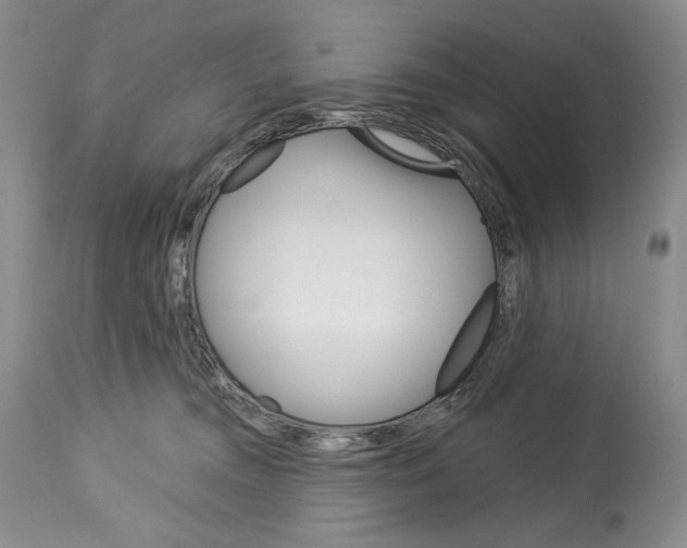 X0000112840372200910021113