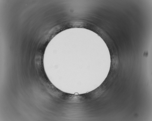 X0000112840379200910021113