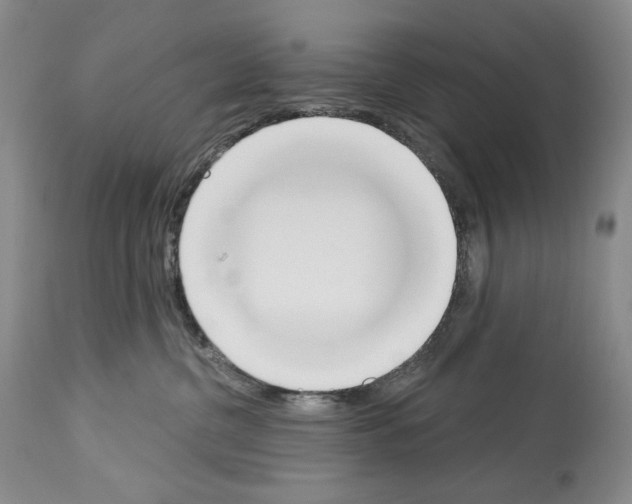 X0000112840380200910021113