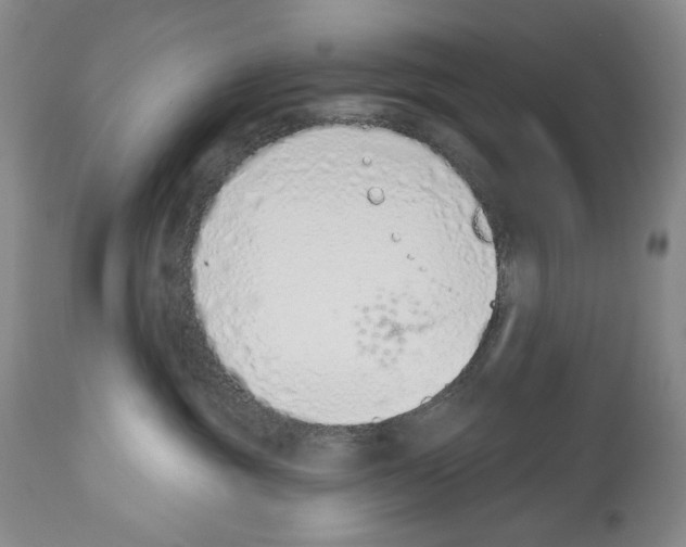 X0000112840381200910021113