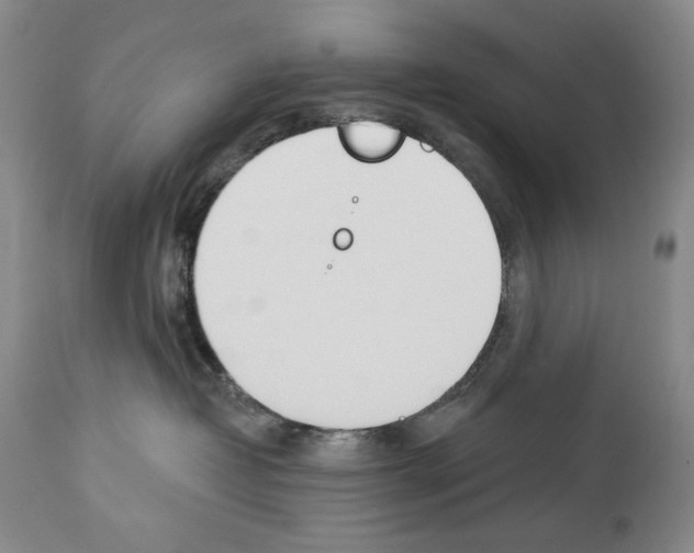 X0000112840382200910021113