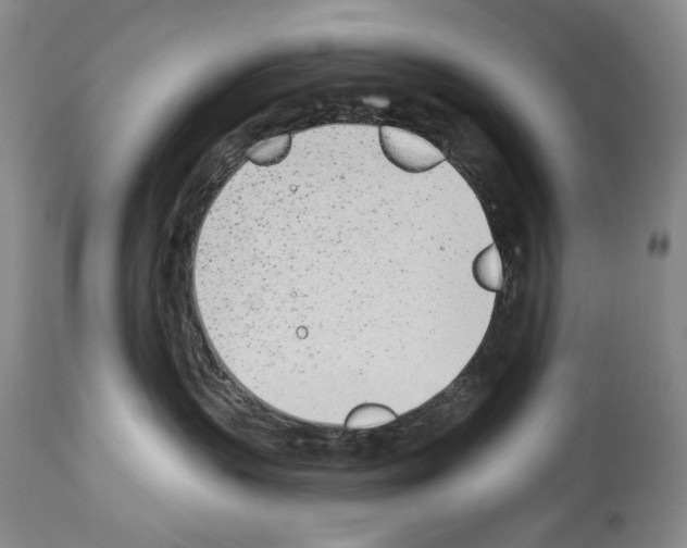 X0000112840383200910021113