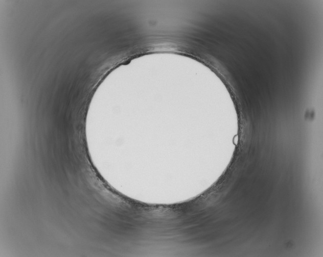 X0000112840385200910021113