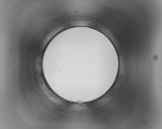 X0000112840386200910021113