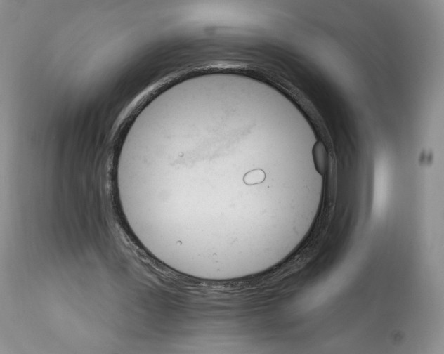 X0000112840387200910021113