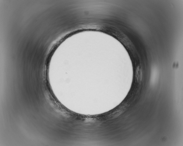 X0000112840388200910021113