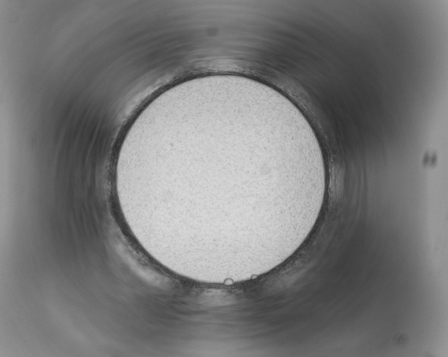 X0000112840390200910021112