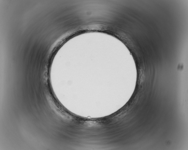 X0000112840392200910021112