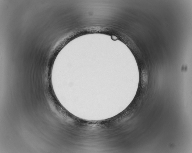 X0000112840396200910021112