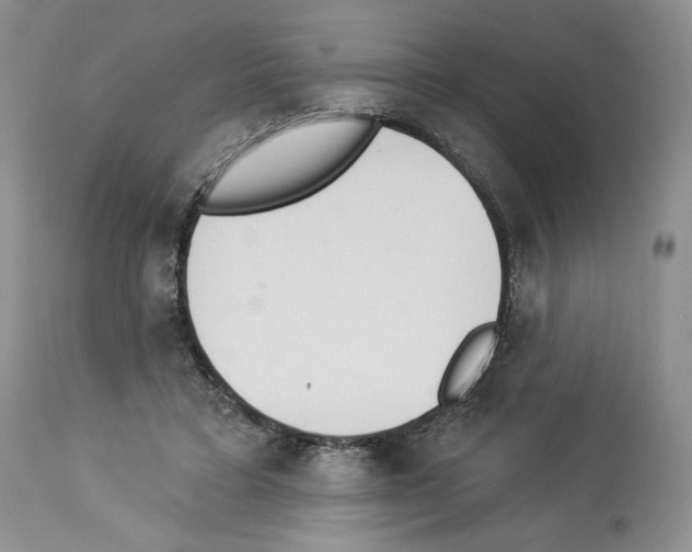 X0000112840403200910021112