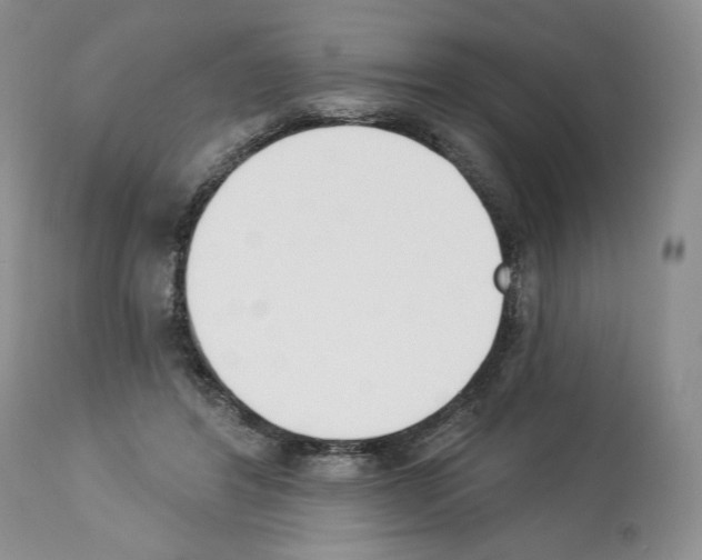 X0000112840404200910021112