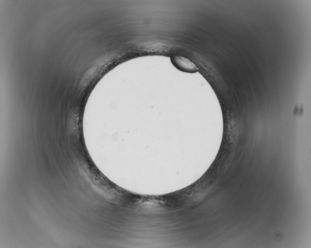 X0000112840407200910021112