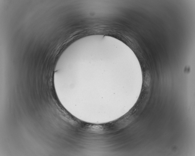 X0000112840409200910021112