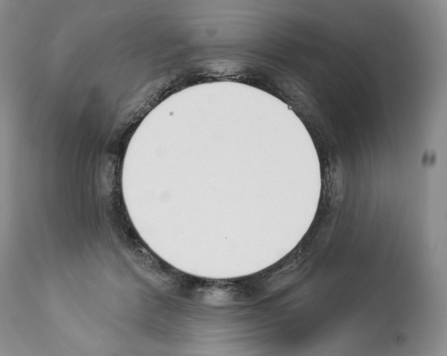 X0000112840412200910021112