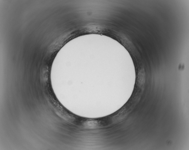 X0000112840413200910021112