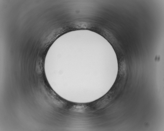 X0000112840414200910021112