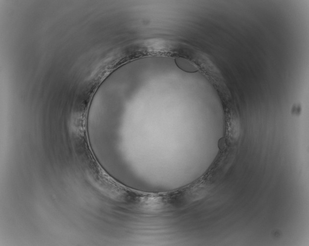 X0000112840419200910021112