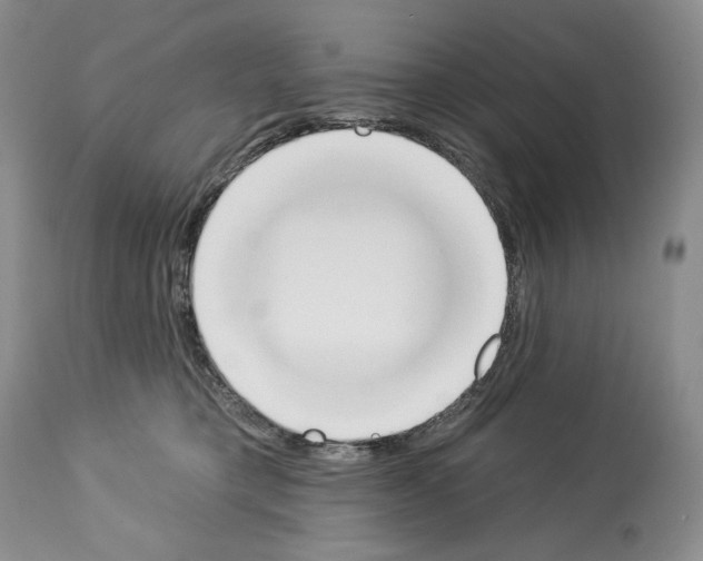 X0000112840421200910021112