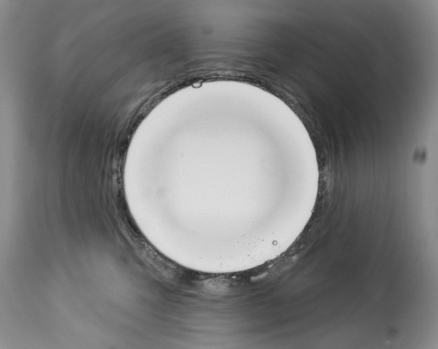 X0000112840423200910021112