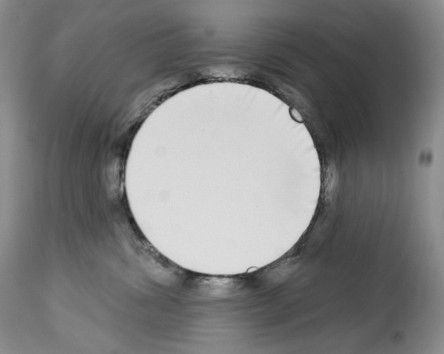 X0000112840428200910021112