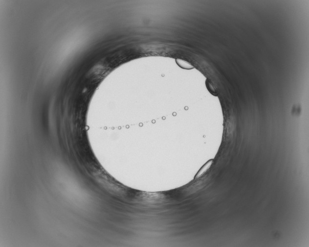 X0000112840429200910021112