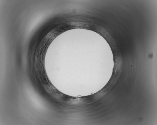 X0000112840430200910021112