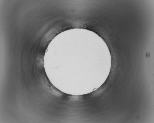 X0000112840432200910021112