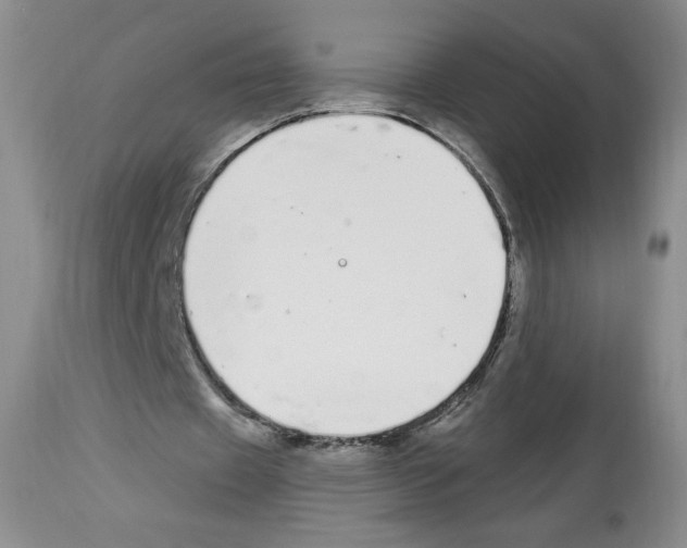 X0000112840433200910021111