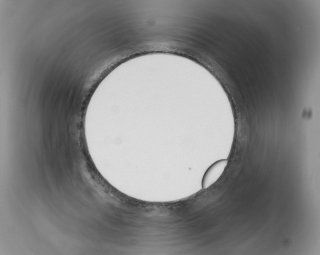 X0000112840434200910021111