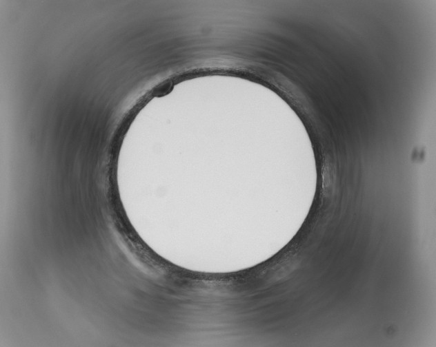 X0000112840436200910021111